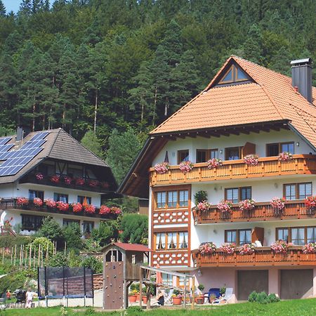 Schlosshof - Der Urlaubsbauernhof Villa Elzach Exterior photo