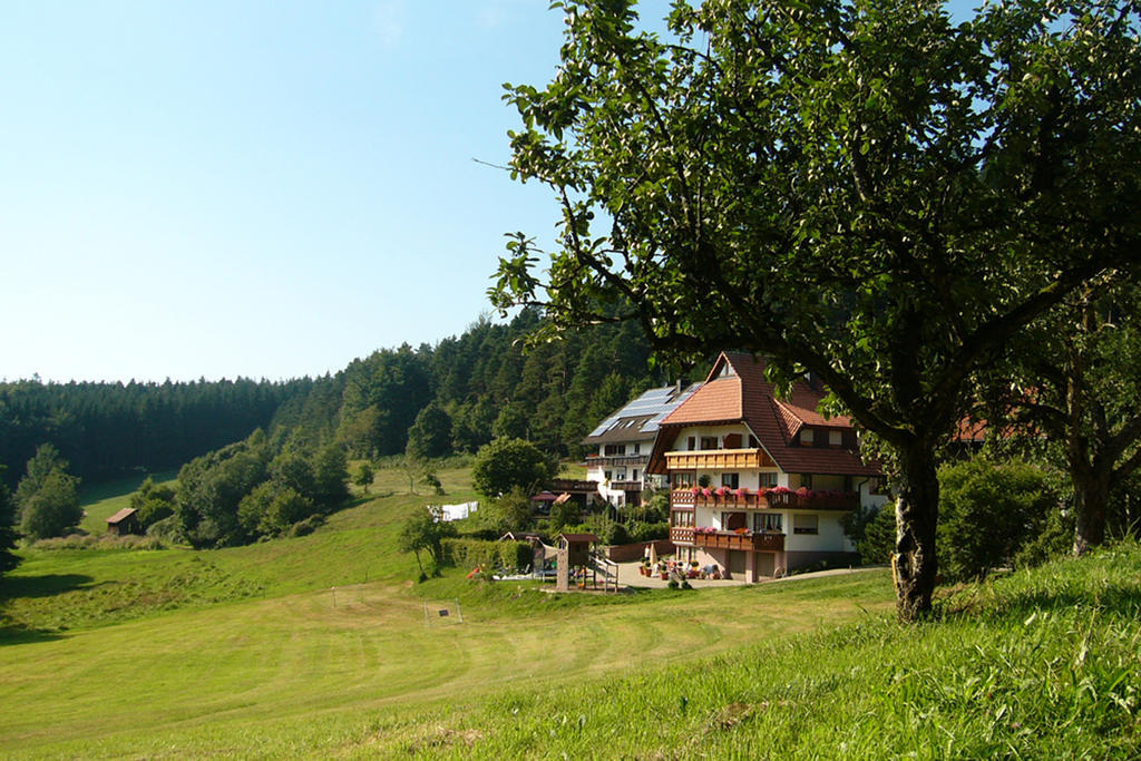 Schlosshof - Der Urlaubsbauernhof Villa Elzach Exterior photo