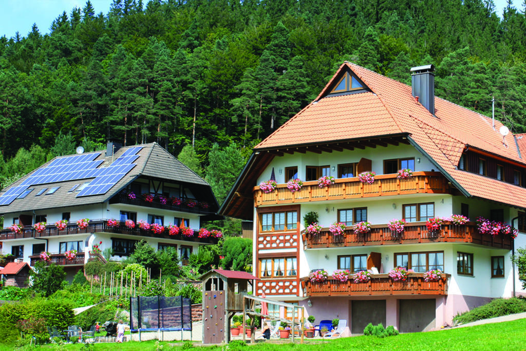 Schlosshof - Der Urlaubsbauernhof Villa Elzach Exterior photo